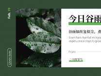 谷雨 | 诗写梅花月,茶煎谷雨春