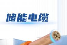 无锡胜维电力电缆 UL11627 光伏太阳能电缆储能线新能源电缆
